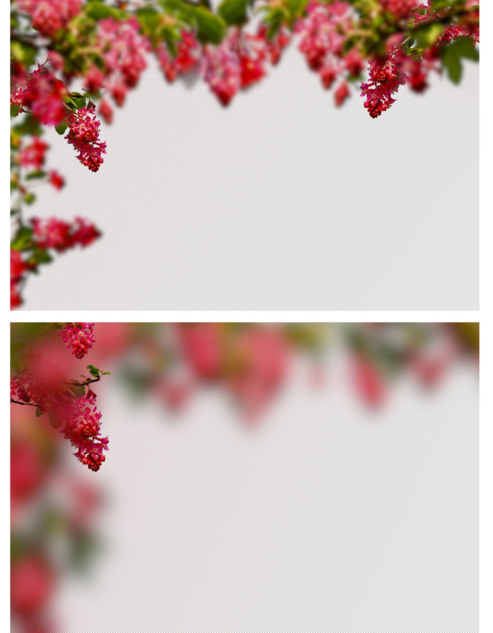 Red Flowers Overlays art frame overlay flowering Etsy