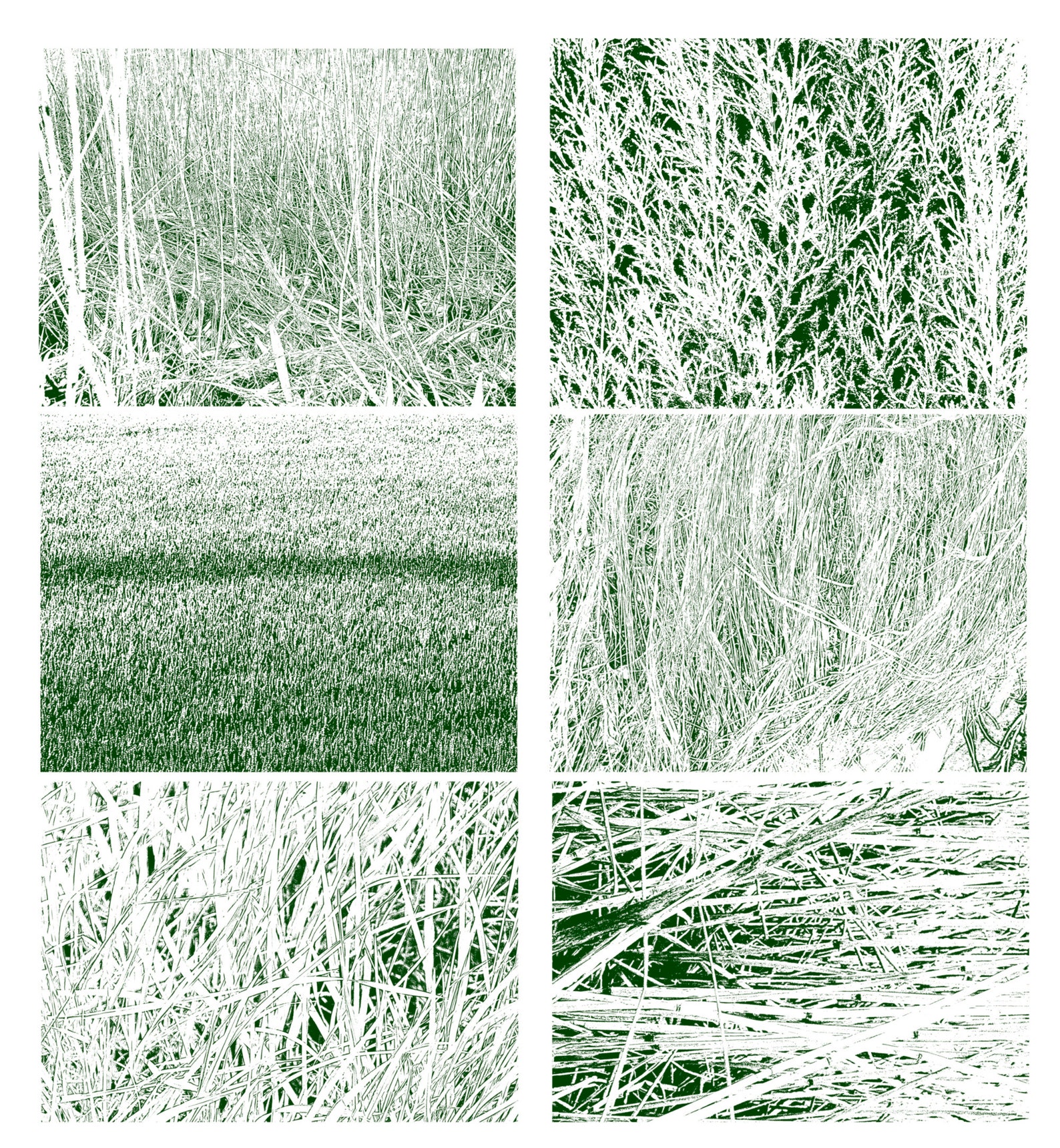 14 Grass Texture Brushes Brushes brushes Etsy