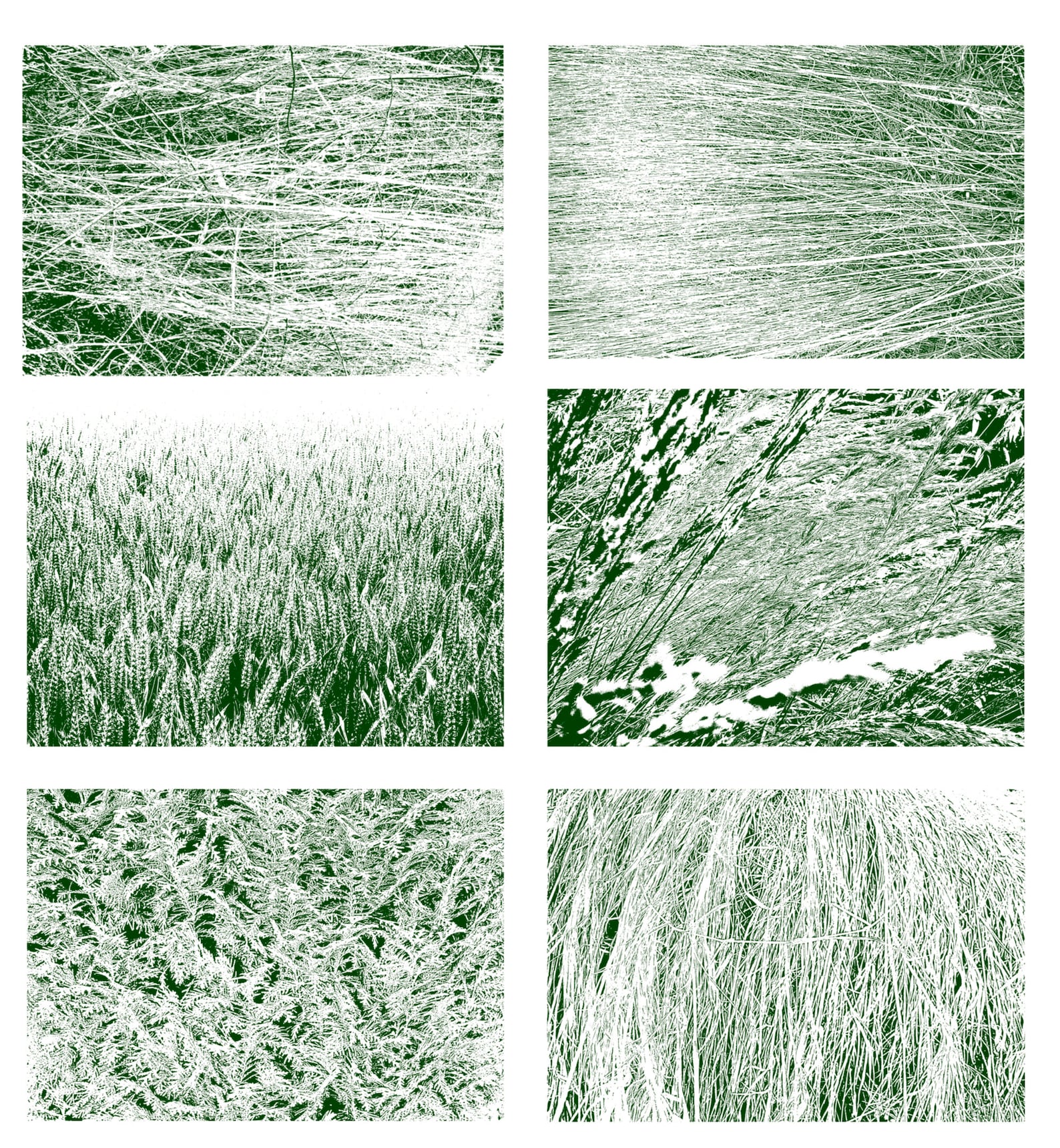 14 Grass Texture Brushes Brushes brushes Etsy