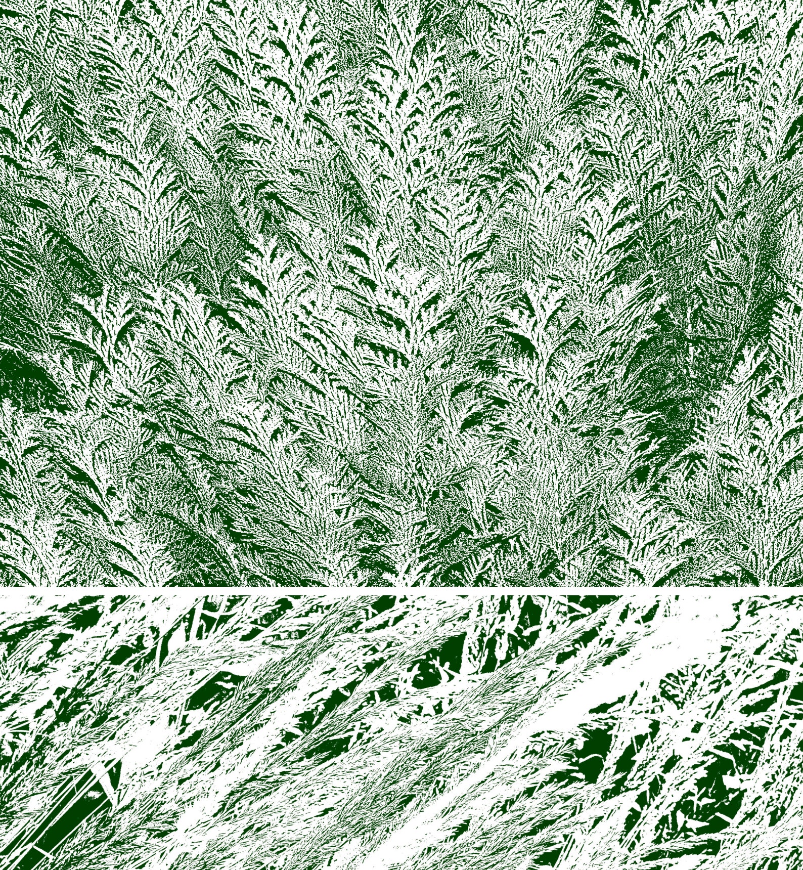 14 Grass Texture Brushes Brushes brushes Etsy