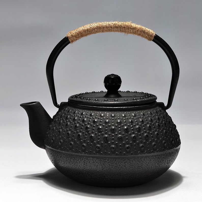 Japanese Cast Iron Pot Handmade Cast Iron Teapot Japan Etsy UK