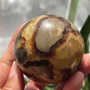 Septarian Sphere