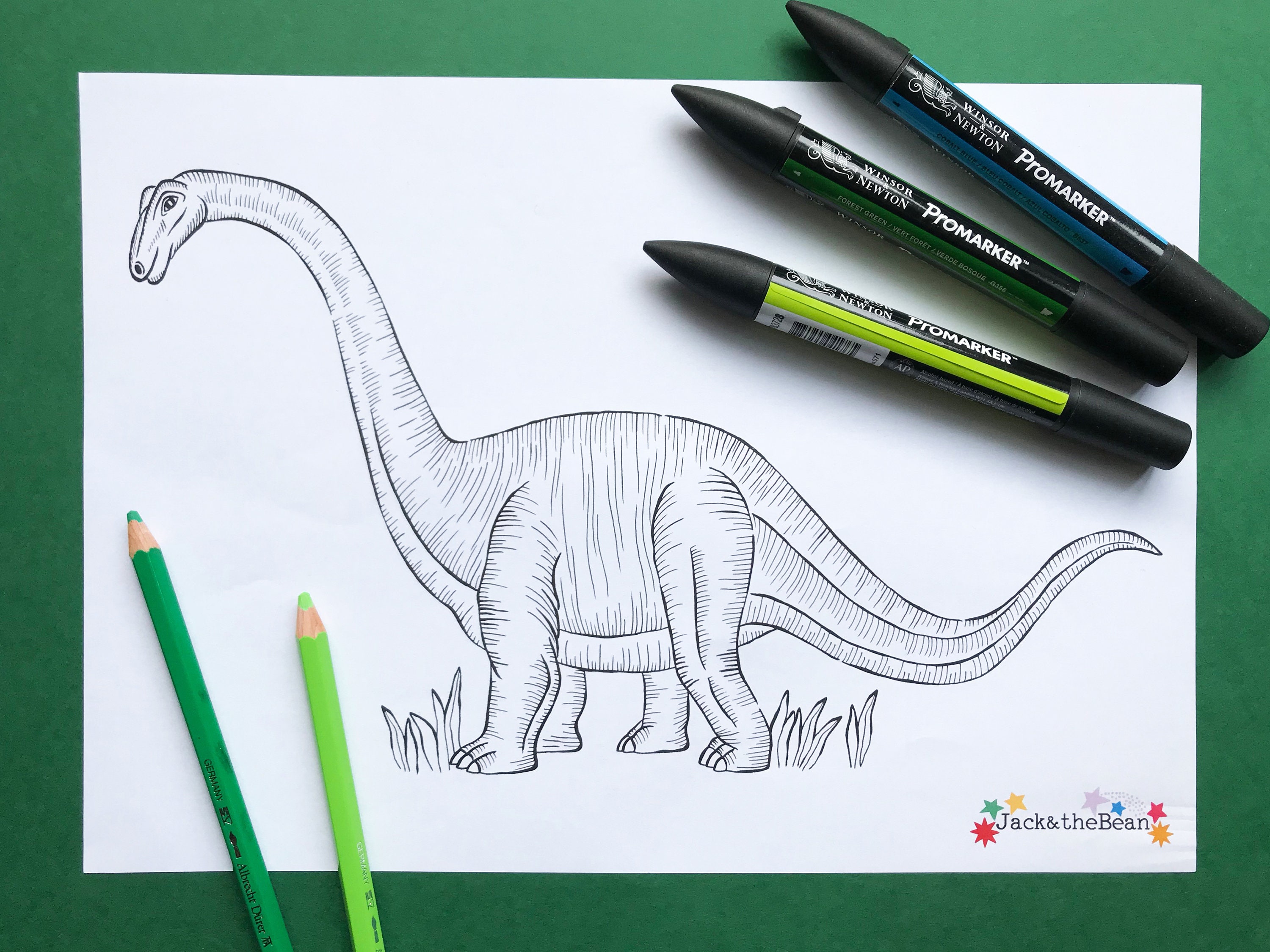 diplodocus colouring