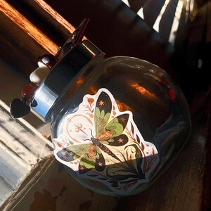 May include: A clear glass jar with a silver lid and a decorative sticker featuring a dragonfly with green and orange wings. The jar has a metal clip and a beaded charm attached to the lid.