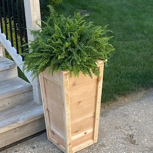 May include: A natural wood planter with a rectangular shape and a fern plant inside. The planter is made of light brown wood and has a rustic look.