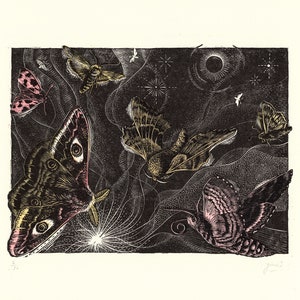 An eclipse of Moths - hand printed engraving and linoprint