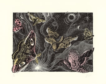 An eclipse of Moths - hand printed engraving and linoprint