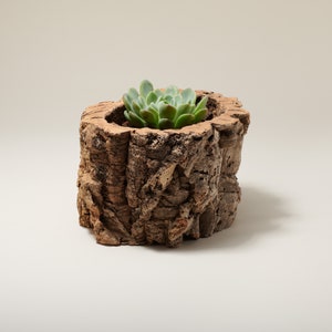 Natural Cork Bark Planter (Oak Tree, The Tree Didn't Die),reclaimed log planter,succulent pot,raw material tree bark, Tree bark wooden Vase