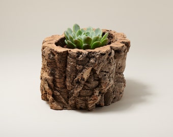 Natural Cork Bark Planter (Oak Tree, The Tree Didn't Die),reclaimed log planter,succulent pot,raw material tree bark, Tree bark wooden Vase