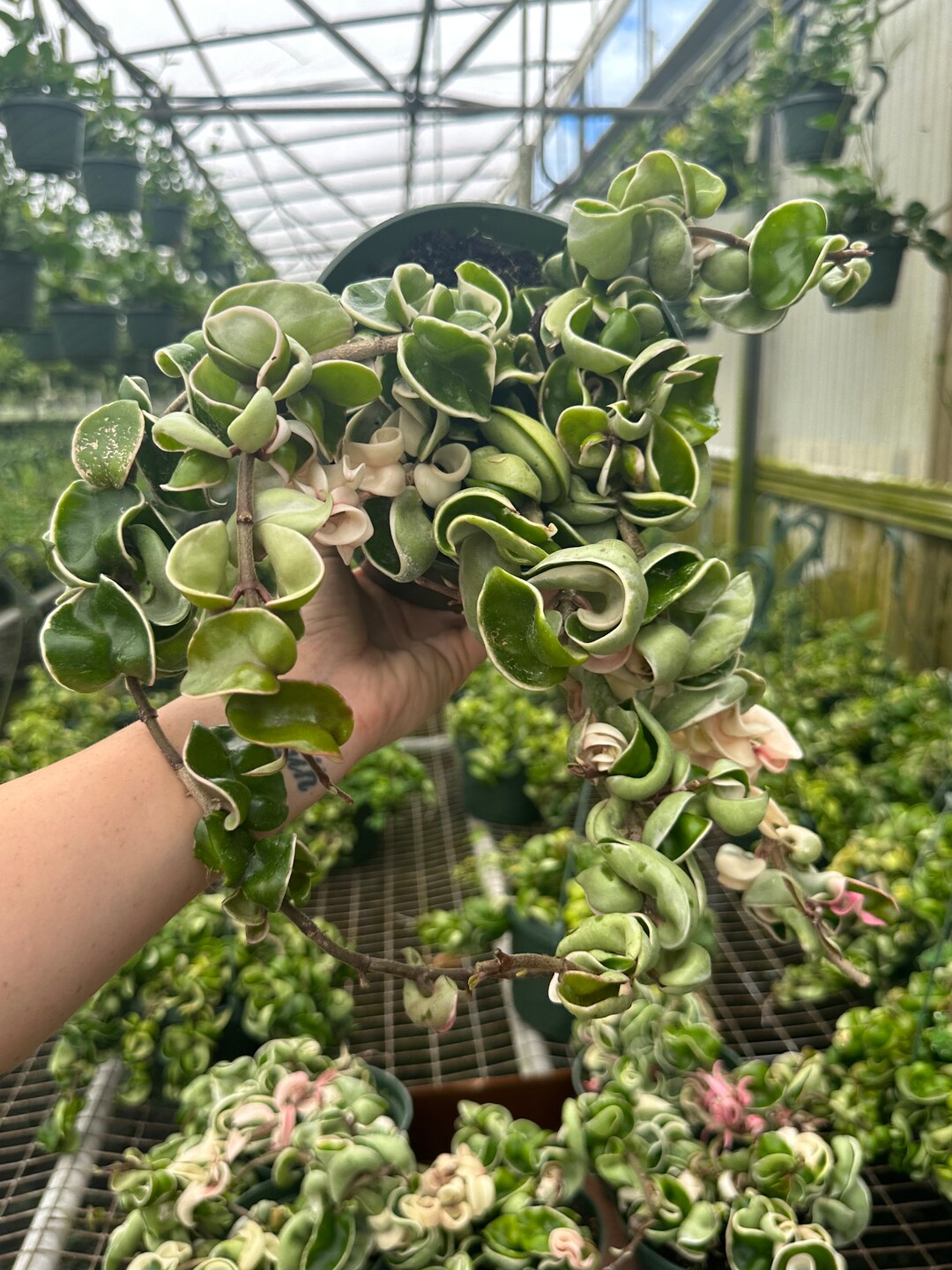 Variegated Hindu Rope 6 PICK YOUR ROPE Etsy