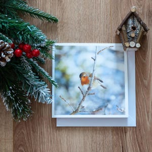 Kerstkaart Robin