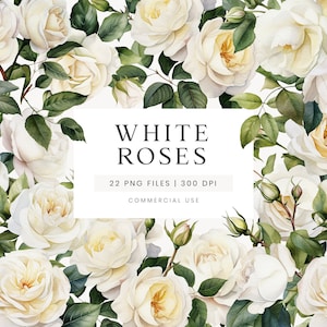 Clipart de rosas brancas, flores em aquarela, clipart de casamento, clipart floral branco, flores de casamento, buquês de aquarela, clipart de vegetação