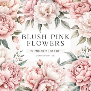 Blush rosa Pfingstrosen Clipart, Beige Aquarell Blumen, Blush Hochzeit Clipart, Floral Clipart, Rosa Hochzeitsblumen, Altrosa Blumen