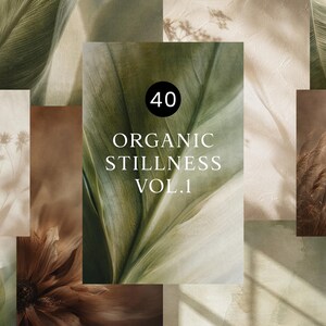 Può includere: Una collezione di quaranta immagini digitali intitolata 40 ORGANIC STILLNESS VOL.1, che presenta vari temi botanici tra cui foglie verdi, erbe essiccate, sagome floreali e superfici strutturate in tonalità terra tenui e soffuse.