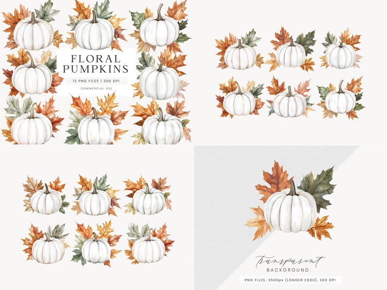 May include: Watercolor illustrations of white pumpkins surrounded by autumn leaves in shades of orange, brown, and green. The text "FLORAL PUMPKINS" is displayed above the pumpkins, with details about the file type and resolution.