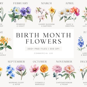 Clipart di fiori del mese di nascita, fiori ad acquerello, clipart del mese di nascita, clipart della festa della mamma, clipart floreale, fiori di nascita PNG