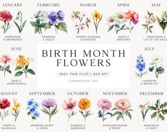 Könnte beinhalten: Aquarellillustrationen von Geburtsmonatsblumen, darunter Nelke, Primel, Kirschblüte, Gänseblümchen, Weißdorn, Rose, Mohn, Prunkwinde, Kosmos, Chrysantheme, Narzisse. Text: "Birth Month Flowers".