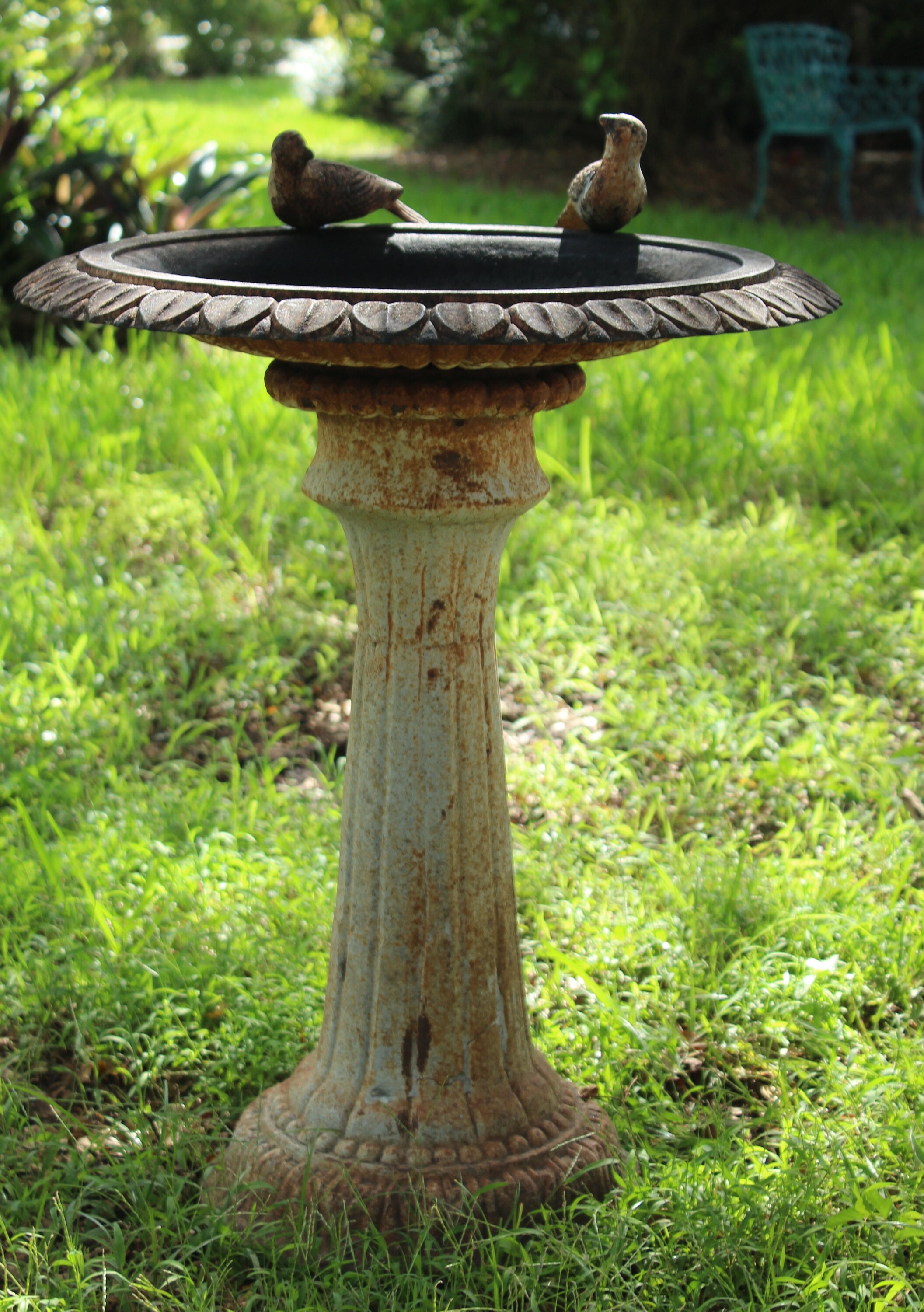 Early French Heavy Wrought Iron Cast Iron Bird Bath on Etsy
