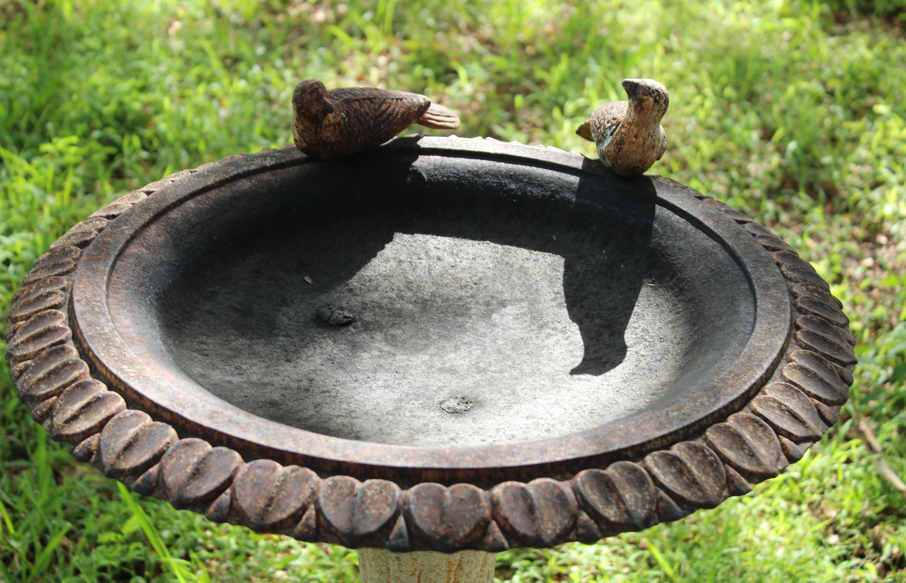 Early French Heavy Wrought Iron Cast Iron Bird Bath on Etsy