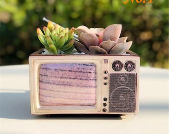 generic Creative Plant Pot Retro TV Shape Flower Pot Resin Succulents Pots Antique Statue Television Planter Plants Containers for Home Desk Decor generic Creative Plant Pot Retro TV Shape Flower Pot Resin Succulents Pots Antique Statue Television Planter Plants Containers for Home Desk Decor
