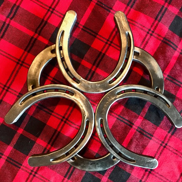 Horseshoe Trivet Etsy