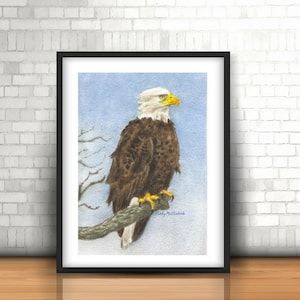 Bald Eagle Print: Original Watercolor Bird Painting, USA Art