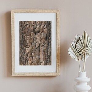 Black Cherry Tree Bark Art Print or Original Woodland Watercolor Illustration