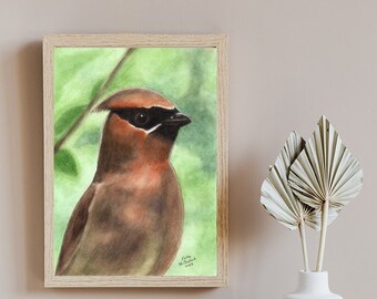 以下が含まれることがあります： セダーワックスウィングの鳥の水彩画。茶色と赤色の体、黒い目、黒い頭。緑の葉が茂る枝に止まっている。絵には「Katie M. Sudderth 2023」と署名されている。