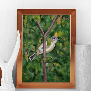 May include: A watercolor painting of a small yellow bird perched on a branch in a green leafy forest. The bird has a gray head and a long tail.