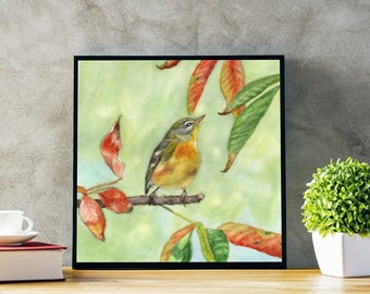 Northern Parula Warbler Print or Original Watercolor Bird Painting Art