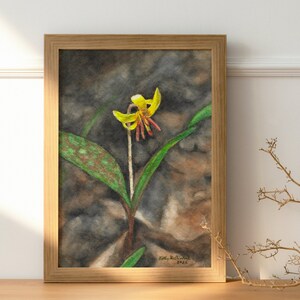 Trout Lily Watercolor Painting: Woodland Wildflower Art Print