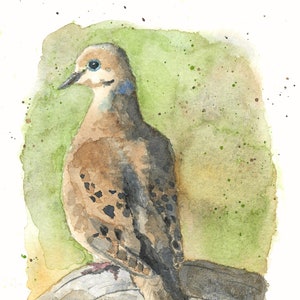 Mourning Dove PRINT of my original Watercolor Bird Painting, nature art, songbird, illustration, wildlife, wall art, home decor, gift image 4