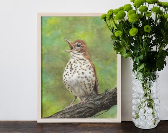 Wood Thrush - PRINT of my original Watercolor Bird Painting, songbird, woodland, wall art, gift, illustration, wildlife