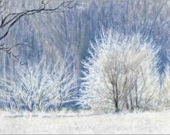 Frosty Trees Watercolor Painting Print or Original: Winter Woodland Landscape Art