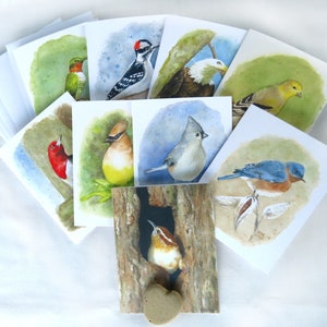 Watercolor Bird Note Cards Blank on inside, Religious/inspirational message on back - Set of Original Art Mixed Stationary, songbirds