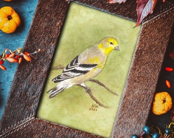 American Goldfinch - ORIGINAL Watercolor Bird Painting 5"x7" Art, songbird, illustration, wall art, wildlife, home decor, animal, gift