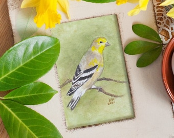 American Goldfinch  - PRINT of my original Watercolor Bird Painting, songbird, illustration, wall art, nature art, home decor, gift
