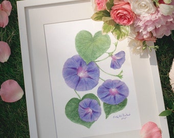 Morning Glories - ORIGINAL Watercolor Painting 5"x7" Art, botanical, vines, nature art, floral art, illustration, home decor, wall art, gift