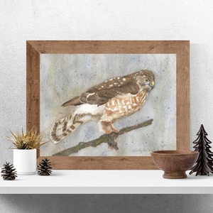 May include: A watercolor painting of a brown and white hawk perched on a branch. The background is a light blue with white speckles.
