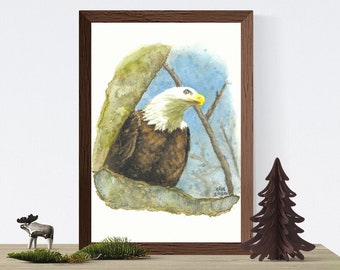 American Bald Eagle, Symbol of our Country - PRINT of my original Watercolor Bird Painting, raptor, illustration, woodland, wall art, gift