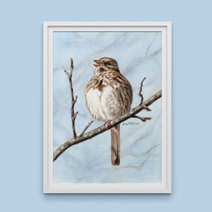 Song Sparrow Puffed Up - Original Painting or a Print, Watercolor Painting Art, bird art, gift, woodland, illustration, songbirds, meadow