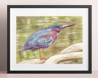 Green Heron Art Print or Original Watercolor Painting, River Woodland