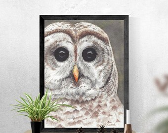 Barred Owl Print: Watercolor Bird Painting, Nature Art