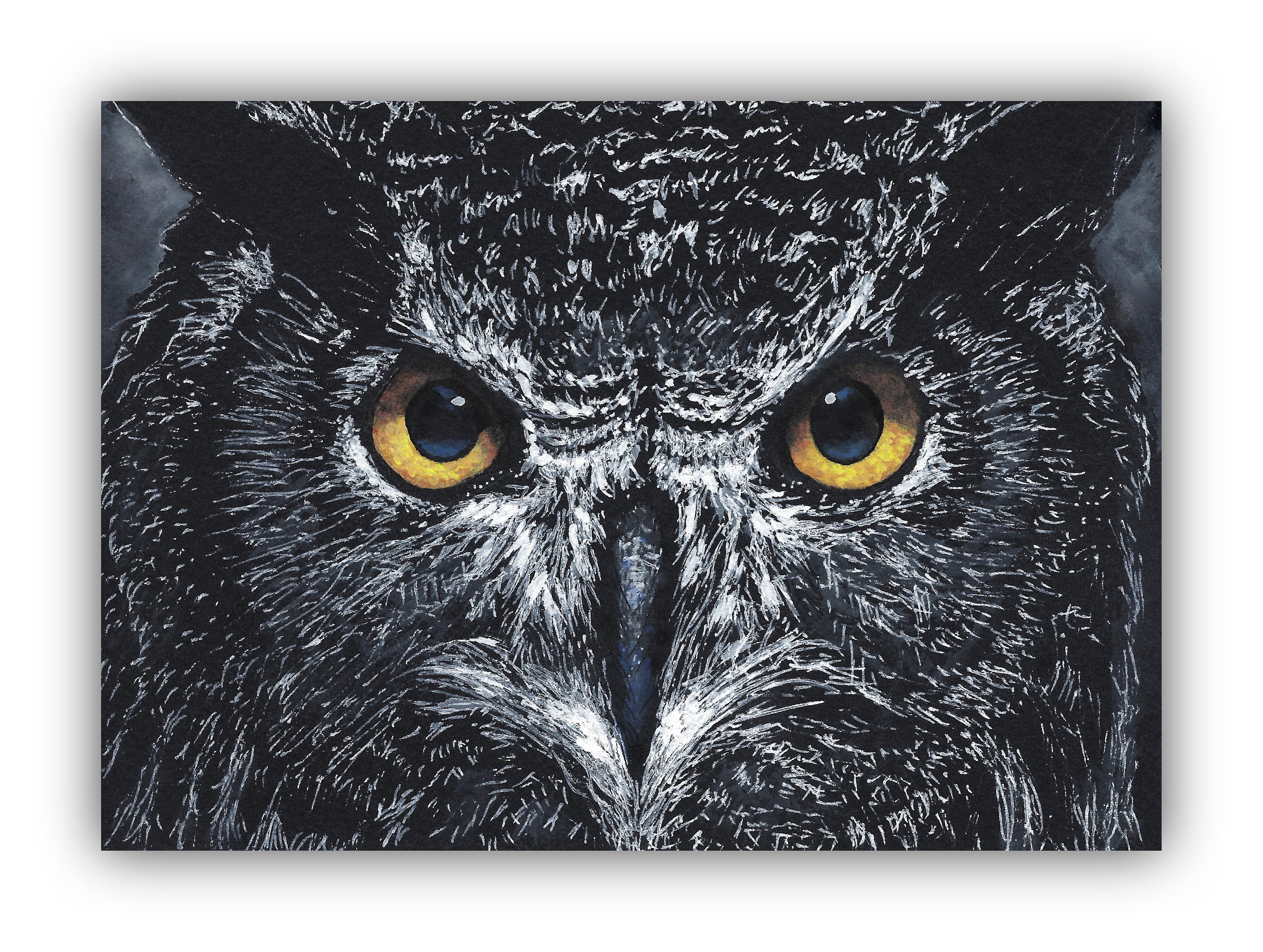 Great-Horned Owl Giclée Print – White Ink Drawing, Black Paper