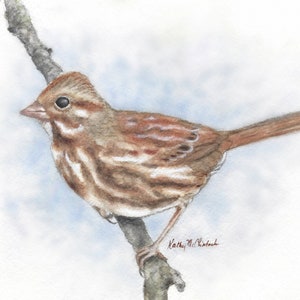 Song Sparrow Watercolor Painting or Original: Nature Art, Bird