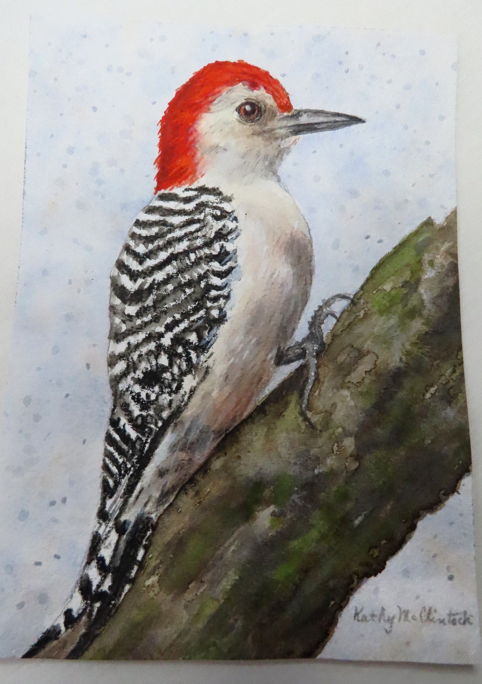 Red-bellied Woodpecker-male PRINT of my original Watercolor | Etsy