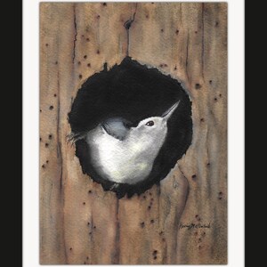 May include: Watercolor painting of a small bird peeking out of a dark hole in a wooden surface. The bird has white and gray feathers, with a long beak. The wood has a brown color with visible grain and small holes. The artist's signature is in the bottom right corner.