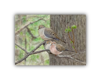 Sleepy Mourning Doves Watercolor Painting Art Print: Nature Home Decor