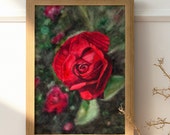 Red Rose - PRINT of my Original Watercolor Painting Art, wall art, floral, nature art, botanical, gift, roses, home decor, flowers, spring