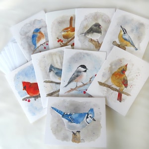 Watercolor Bird Note Cards (9) Blank on inside, Inspirational message on back - Set of Original Art Mixed Stationary, songbirds, religious